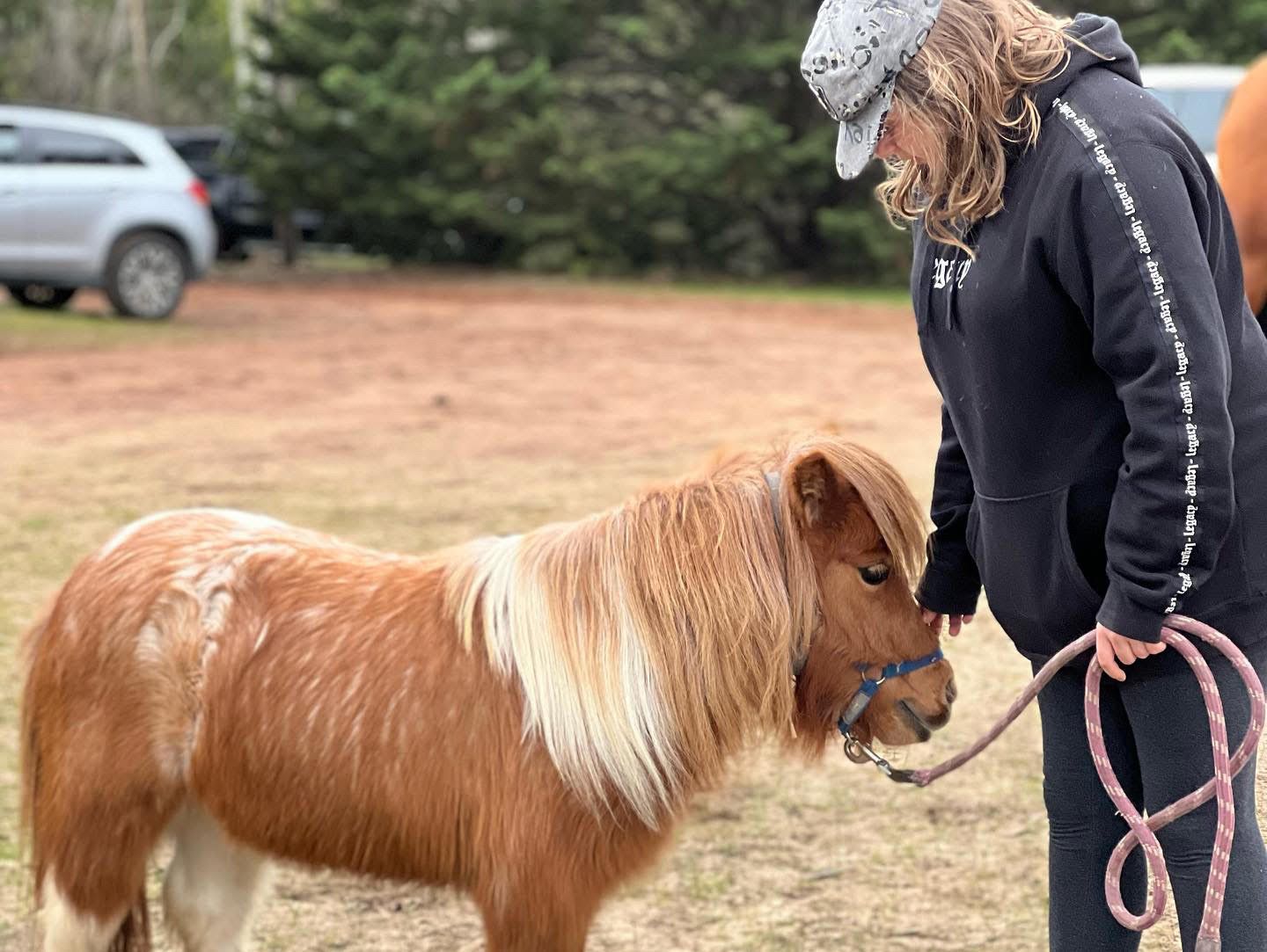 Horse Cuddles and Morning Tea