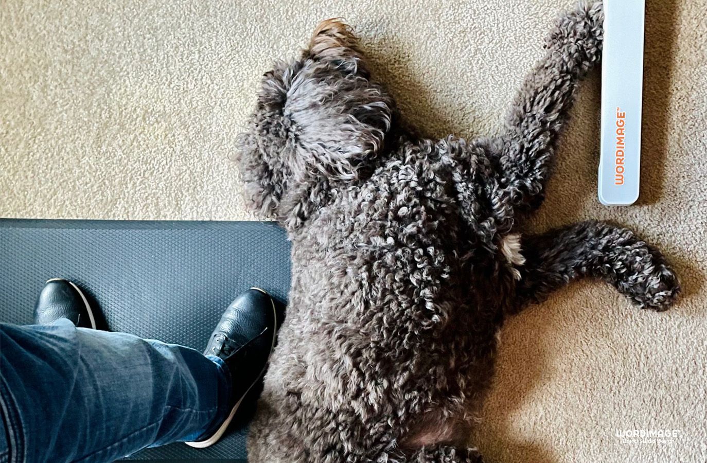 A person is standing next to a dog laying on the floor.
