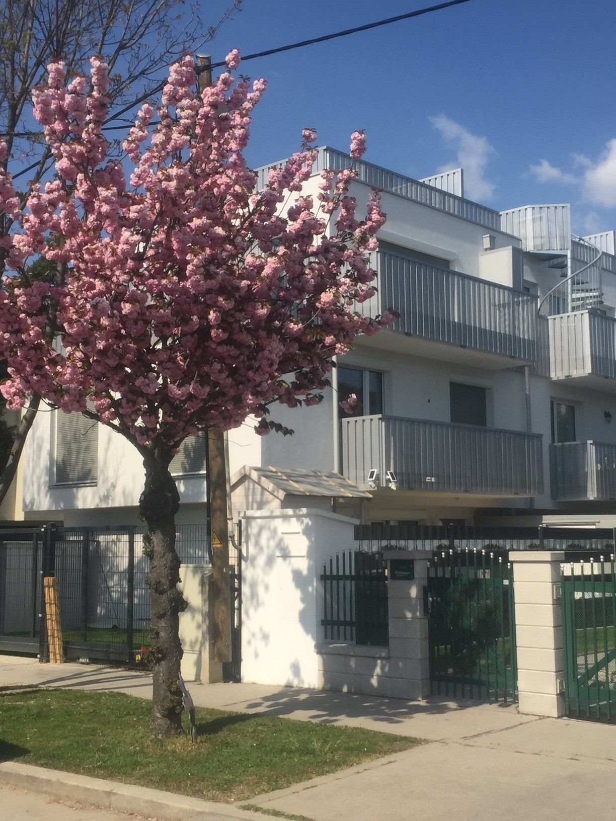 Hallenbau Pfeiffer, Bauplanung, Wohnbau, Einfamilienhäuser