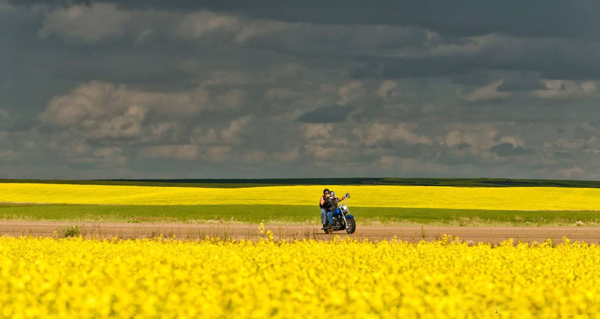Motorcyclist rides through a field of yellow flowers under a cloudy sky.