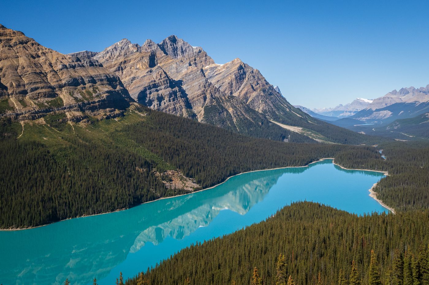 Blue lake in Canadian Rockies surrounded by evergreen forest and mountains under a clear blue sky.