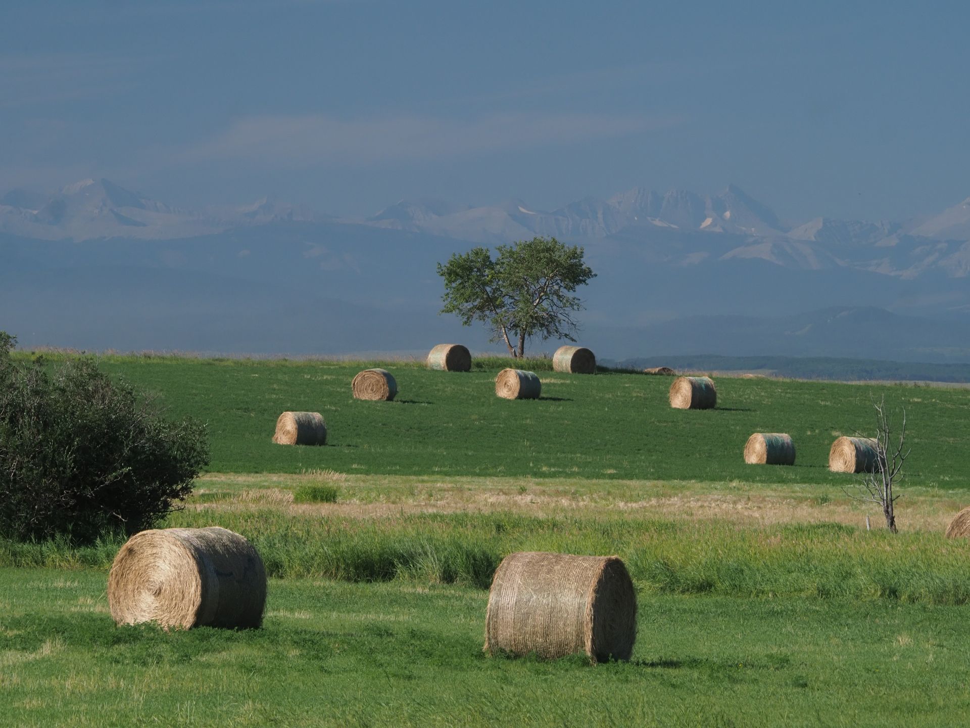 Green field with hay bales and tree, mountains in the background, under cloudy sky.