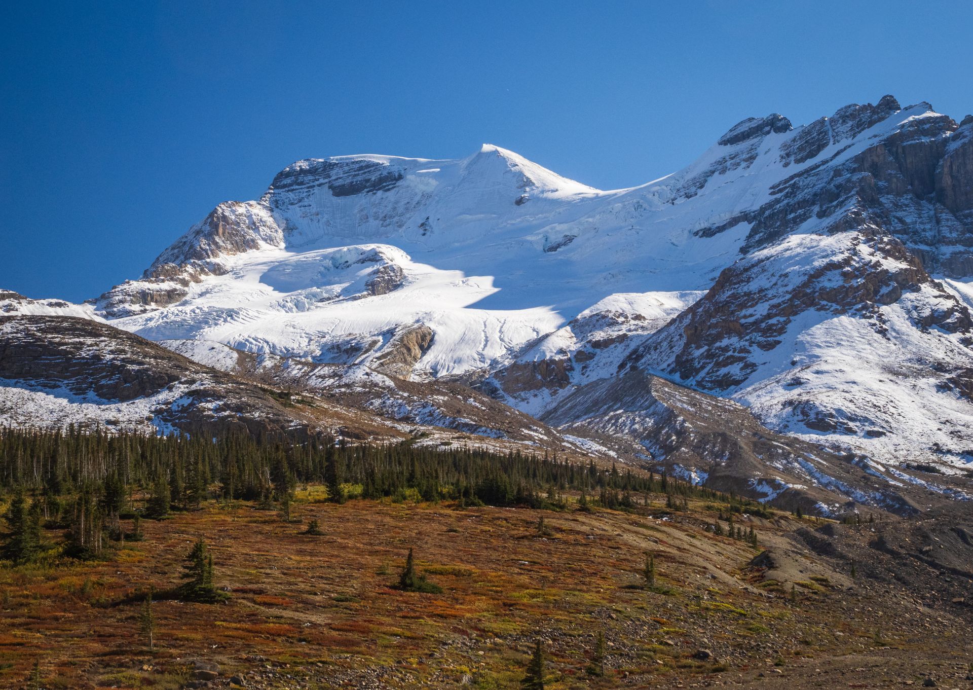 Snow-covered mountain rising above a forested hillside, under a clear blue sky.
