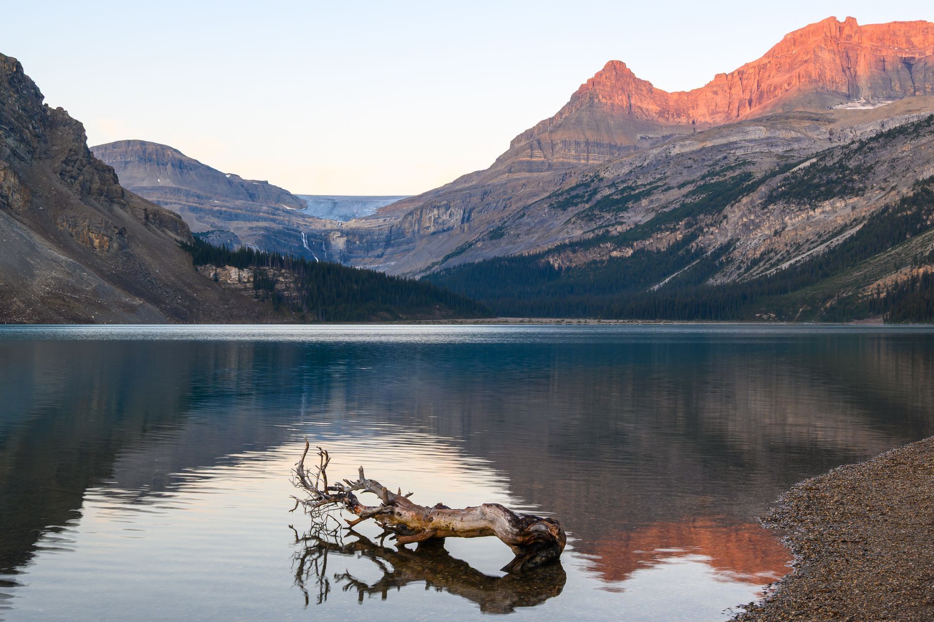 Mountain lake with a log in the water; mountains reflected in the calm water. Golden light on the mountain peaks.