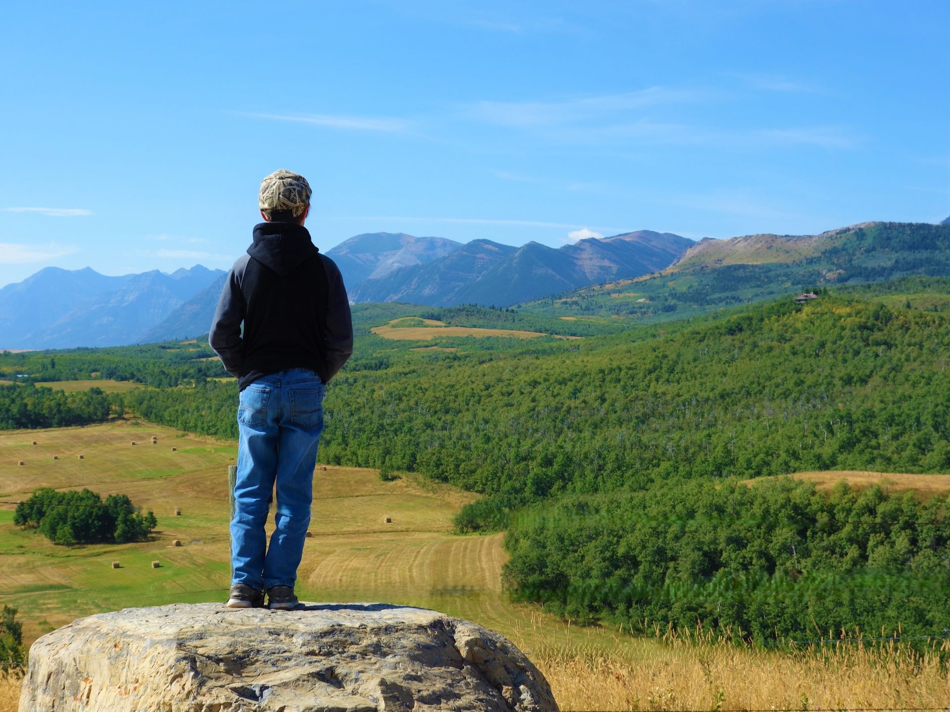 Person on a rock overlooking a vast green valley and distant mountains under a blue sky.