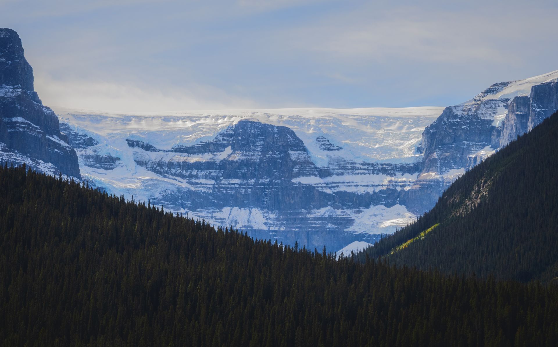 Snow-covered mountains and a glacier between dark green forested slopes, under a pale blue sky.