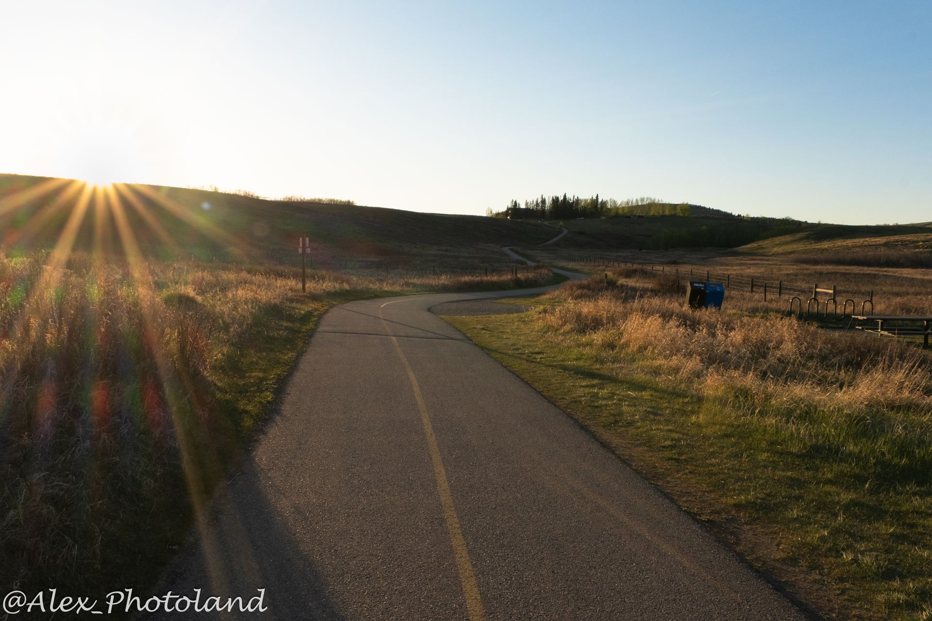 Paved path through grassy field with sunburst. Early morning or late afternoon light.