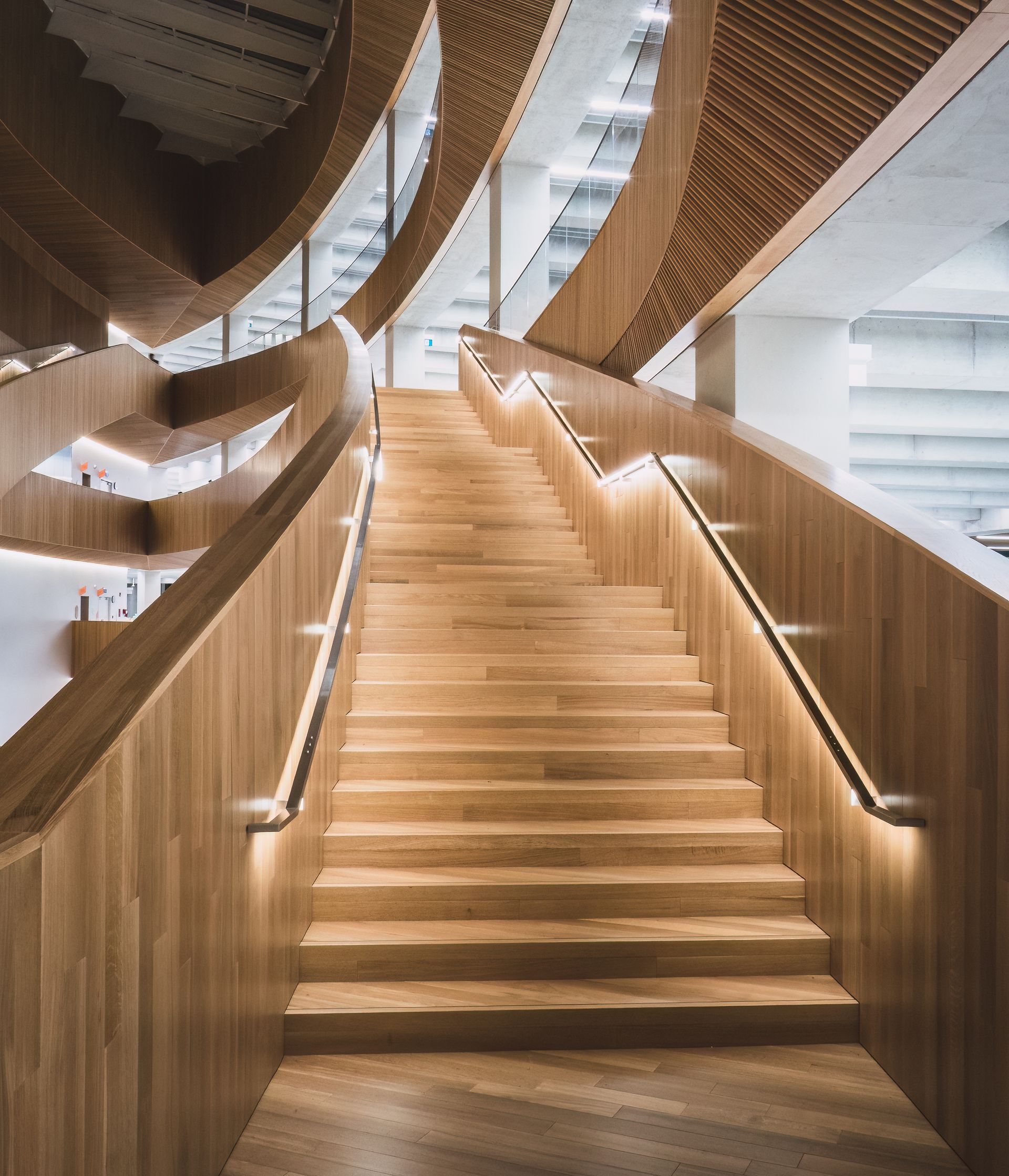 Wooden staircase with built-in lighting ascends between wood-paneled walls, leading upward.