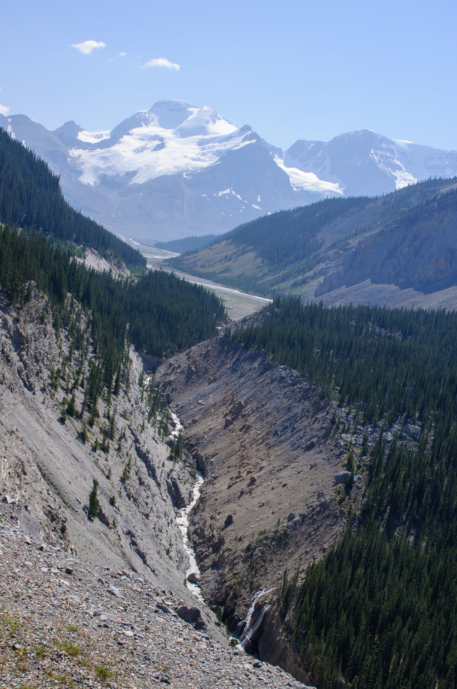 Mountain valley with a river winding between steep, rocky slopes, forested on either side, and snow-capped peaks in the background.