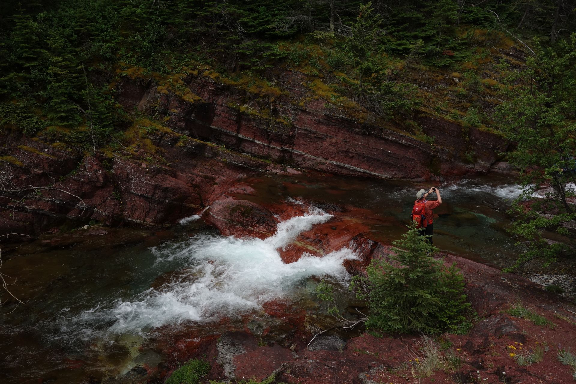 Rushing water in a red-rock creek; person in red wades into the water near a small cascade, surrounded by green trees.