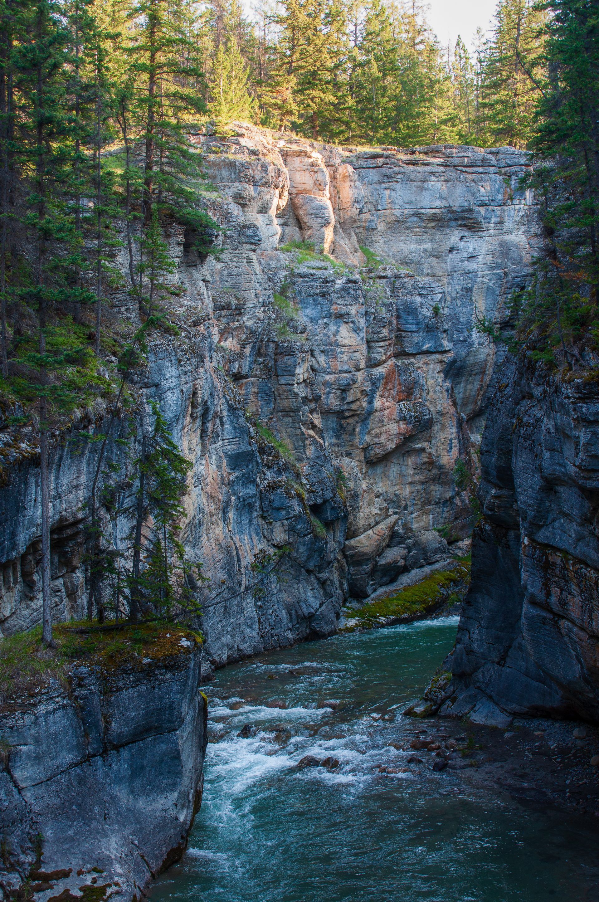River flowing through a rocky canyon with trees along the top, sunlit cliff.