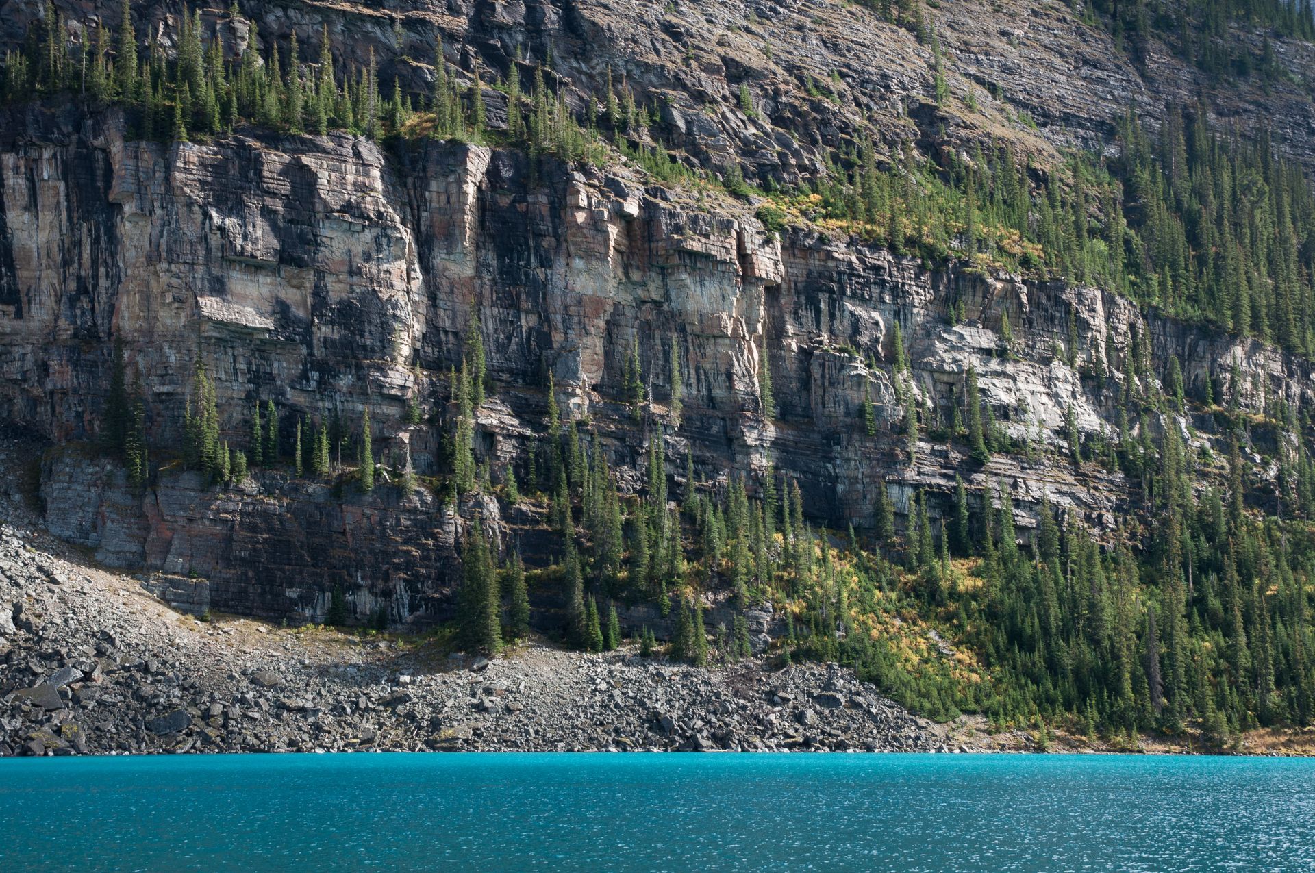 Rocky cliff face with green trees above turquoise lake.