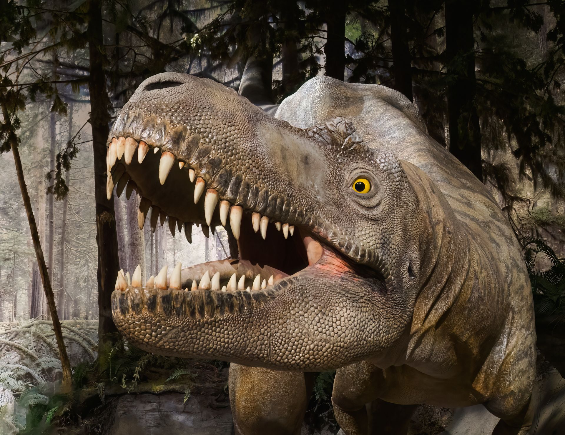 Realistic Tyrannosaurus Rex head with open jaws, in a forest setting.