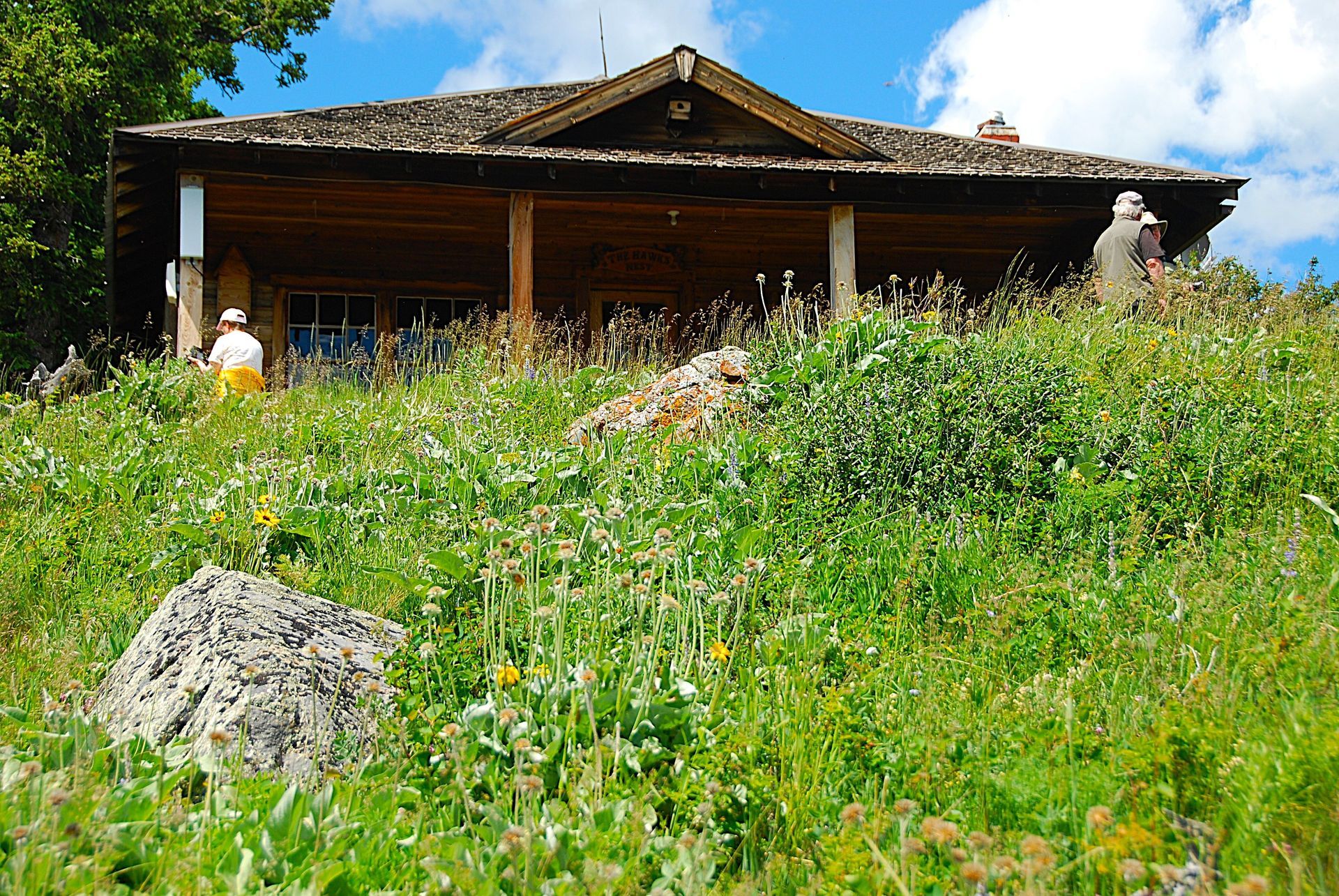 Wooden cabin atop a grassy hill. People stand near the porch. Lush green vegetation and rocks in foreground.