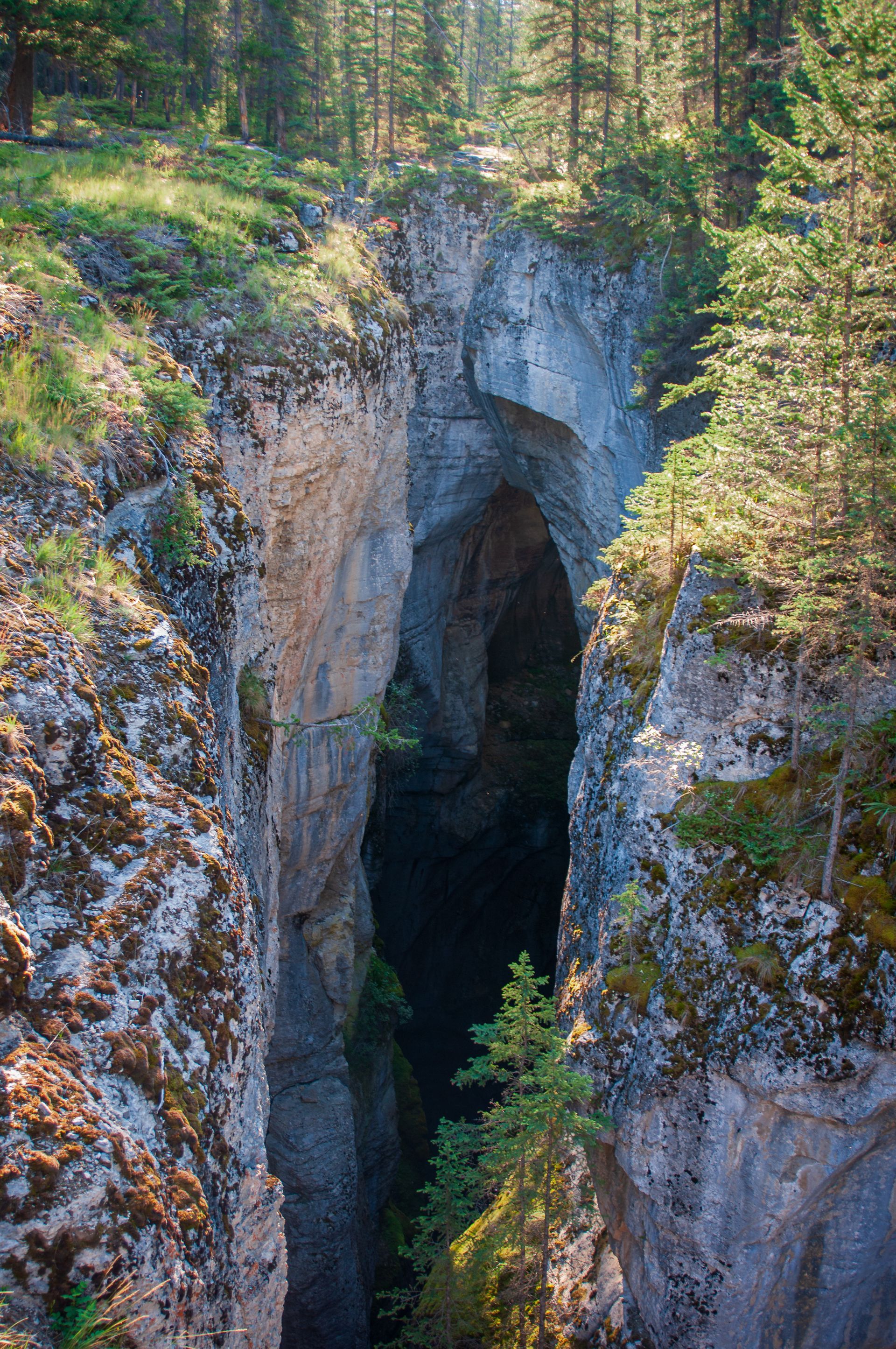 Deep, narrow canyon with rock walls. Sunlight illuminates the opening. Trees surround the gorge.