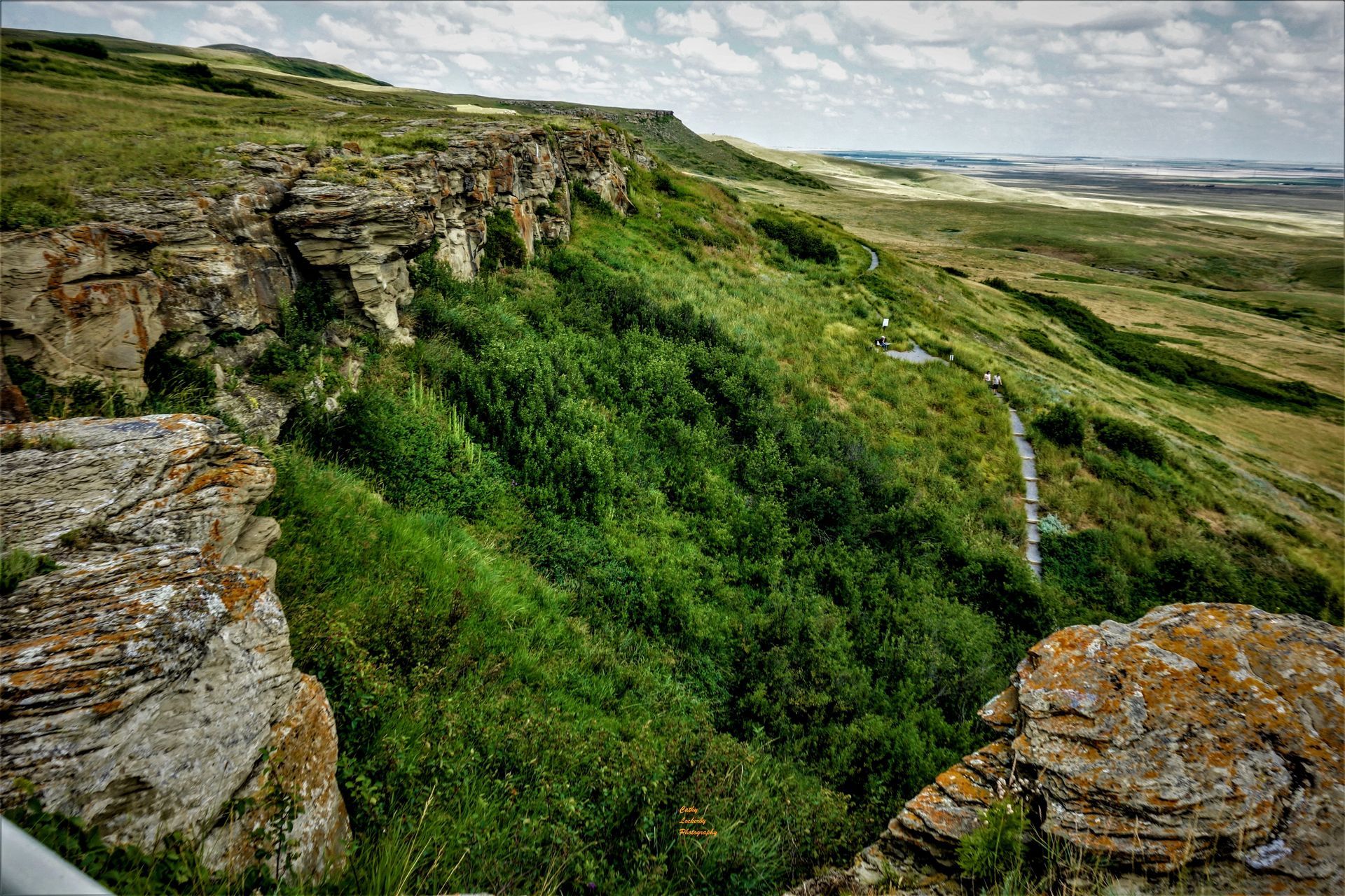 Cliffside view of lush green vegetation and a wooden path, overlooking a prairie landscape under a cloudy sky.