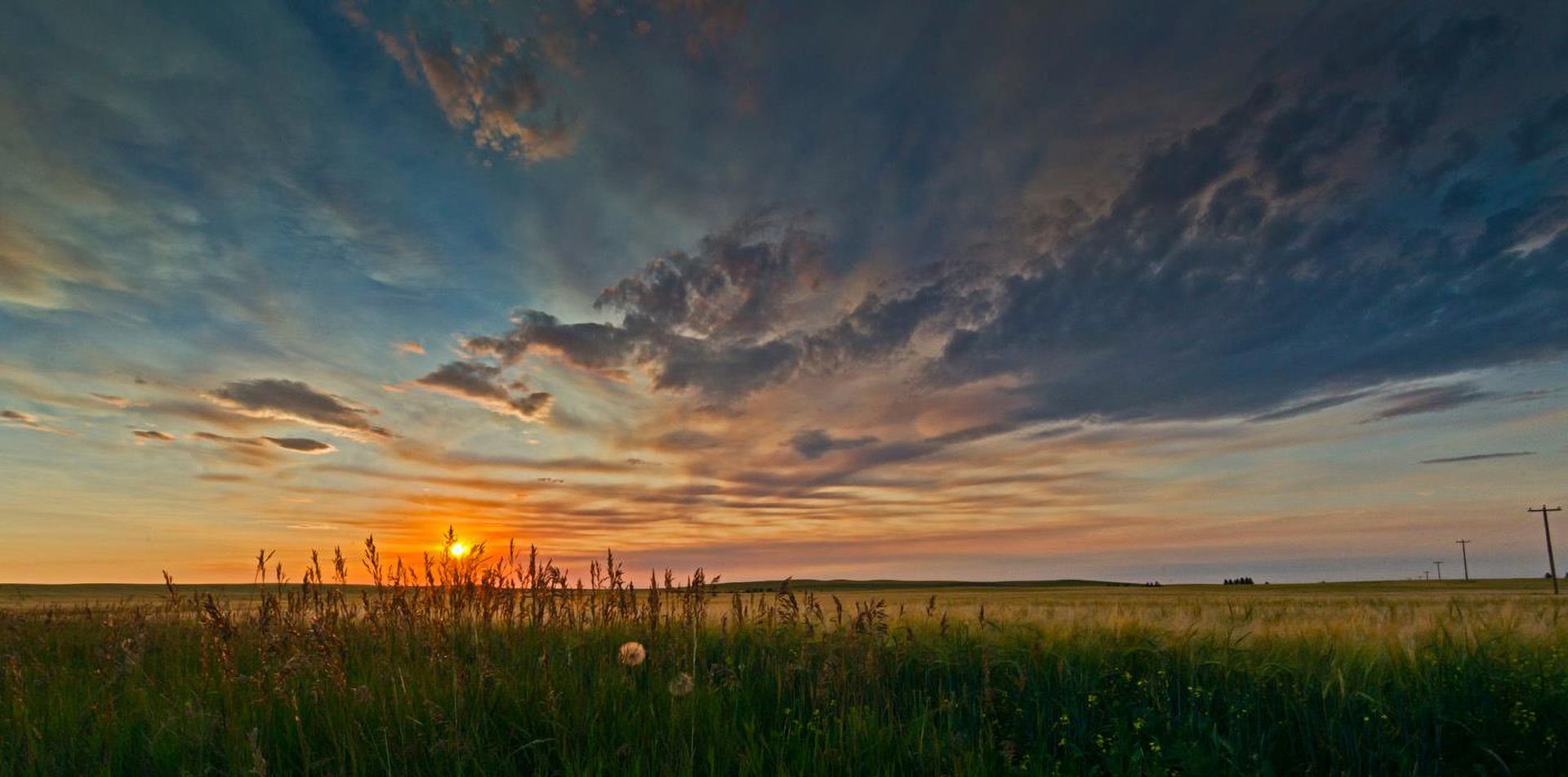 Sunset over a field of grass and wheat, with a vibrant sky of orange and blue.