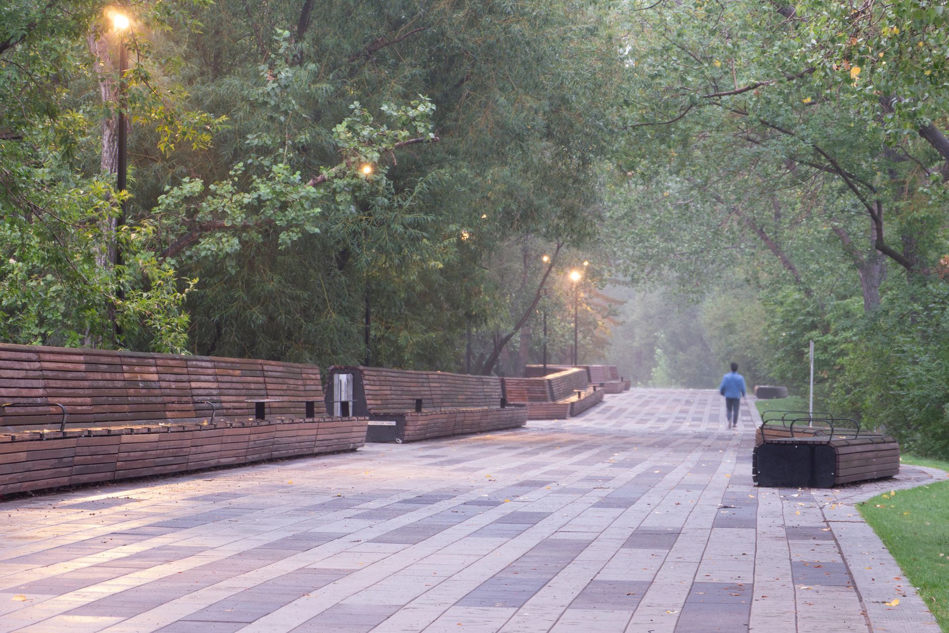 A paved walkway in a park with benches and a person walking towards the light.