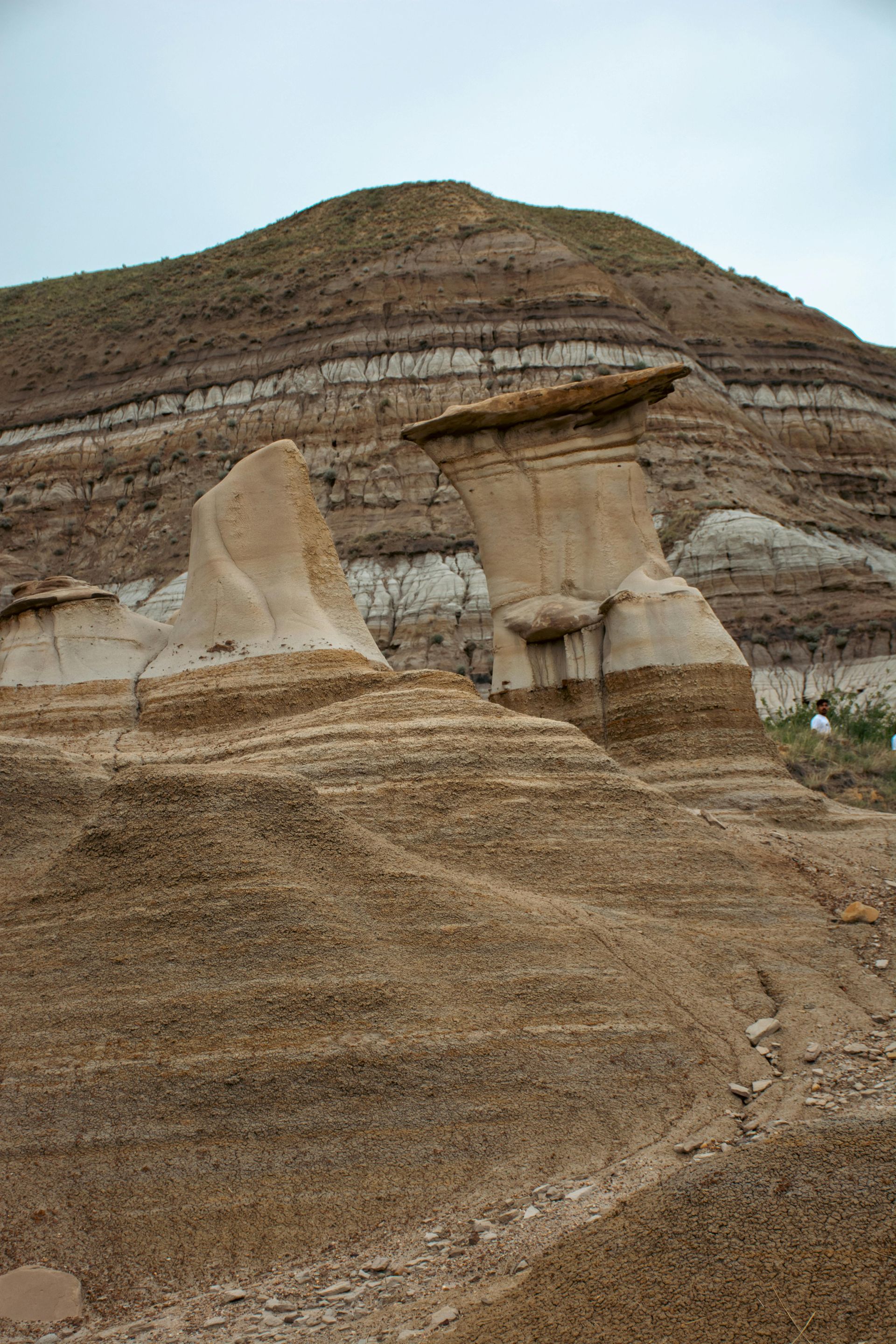 Hoodoos in a desert landscape: mushroom-shaped rock formations with layered earth in the background.