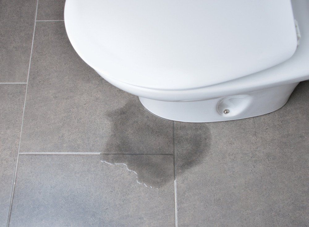 Leakage Of Water From A Toilet in Dubbo