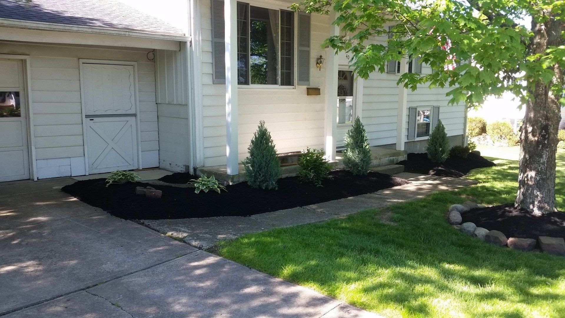 fresh shrubs and mulch in front landscaping