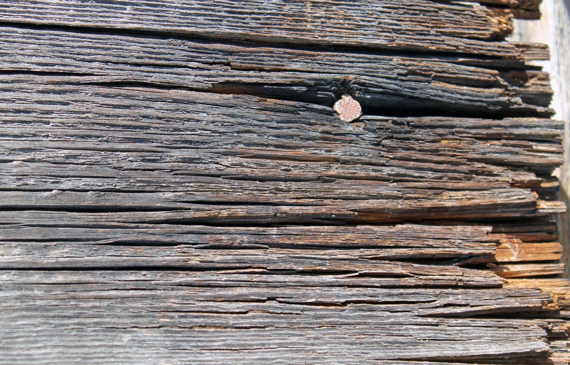 A close up of wood rot on a fence