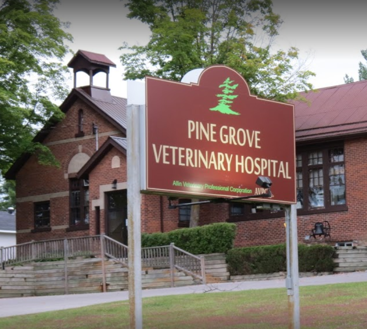 Pine Grove Veterinary Hospital Veterinarian in Orillia