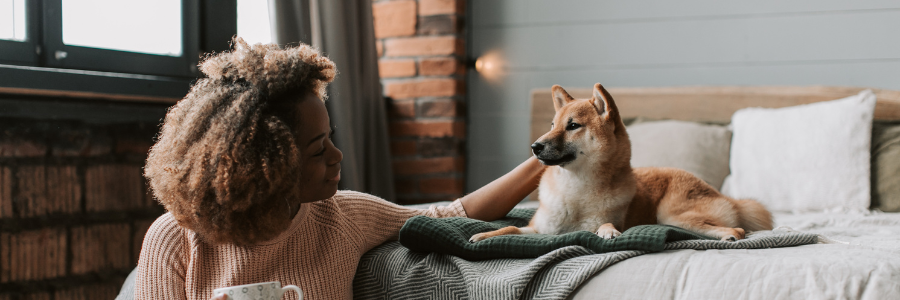 Bridging the Gap Between Pet Owners and Veterinary Clinics