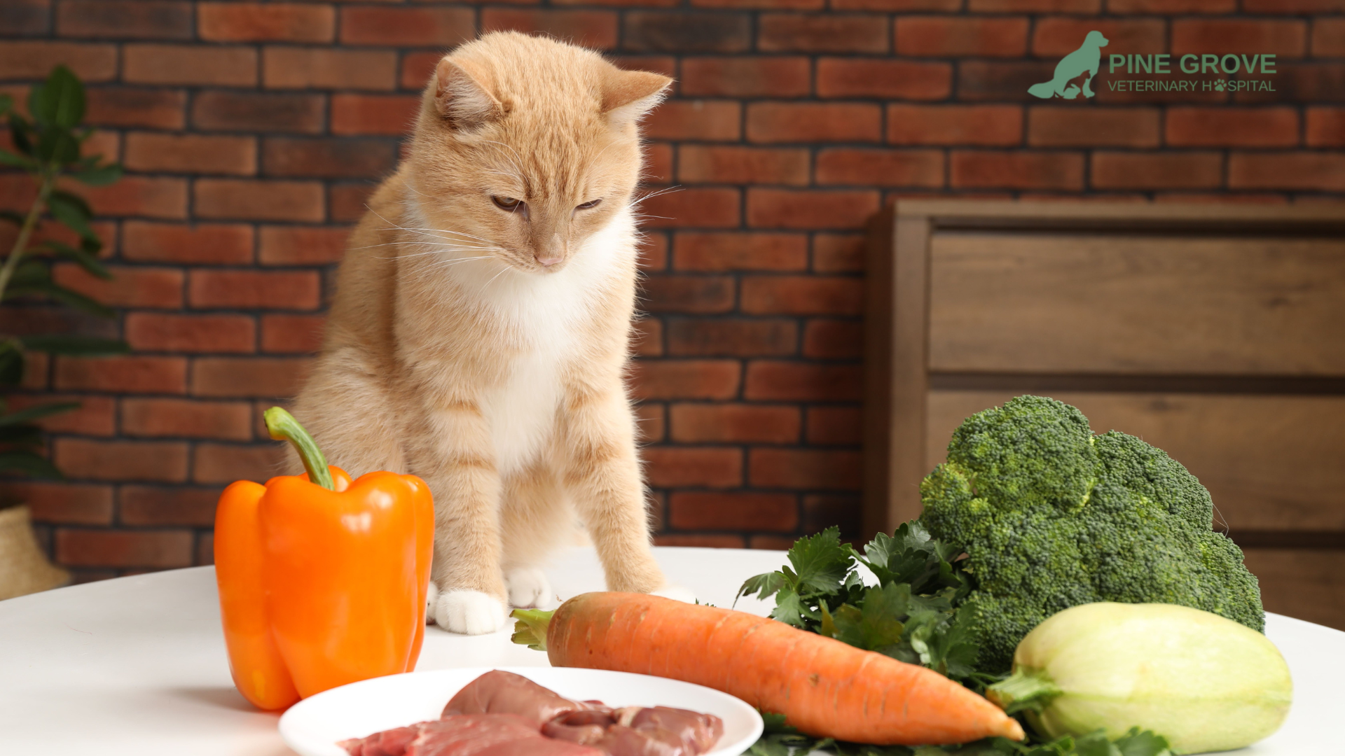 Orange cat looking at vegetables and meat on a table.