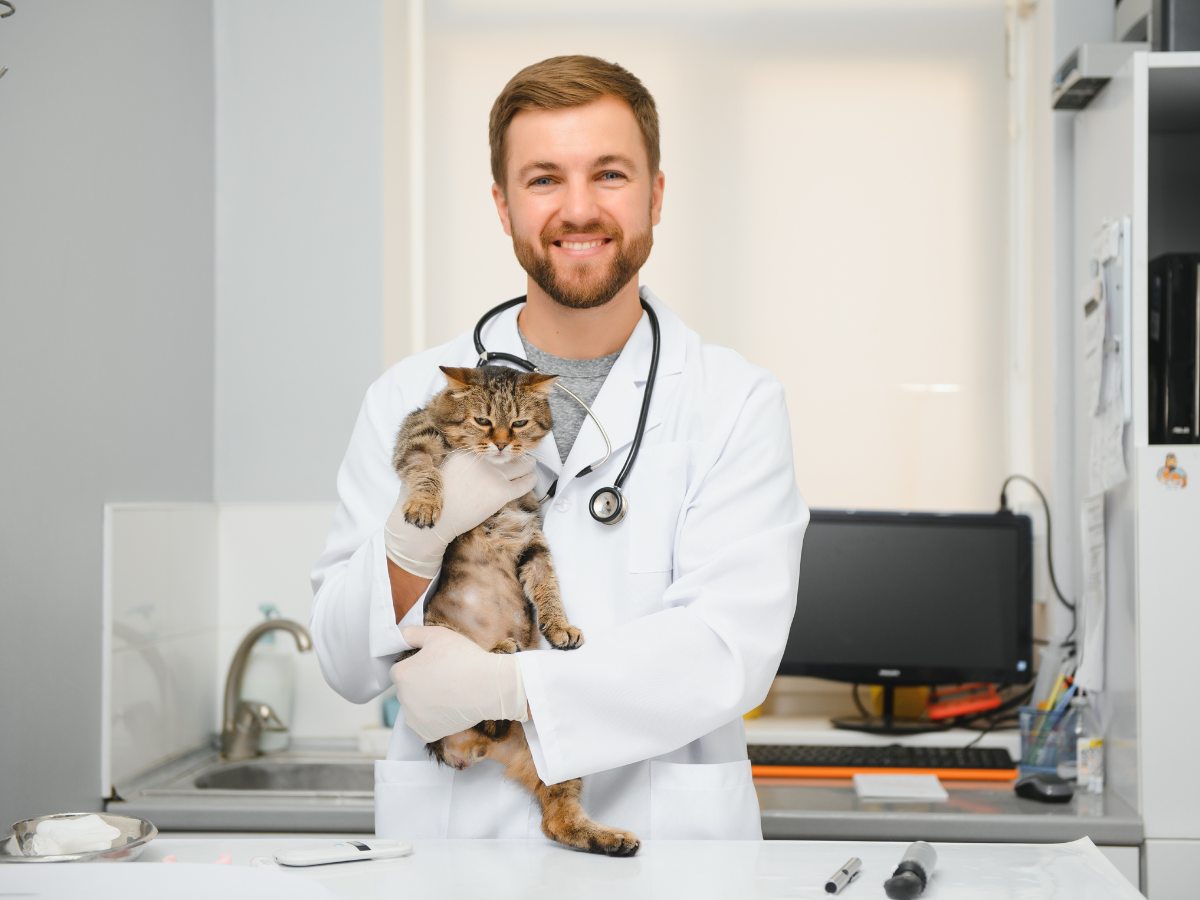 Veterinarian in a lab coat holding a cat, smiling, with a stethoscope.