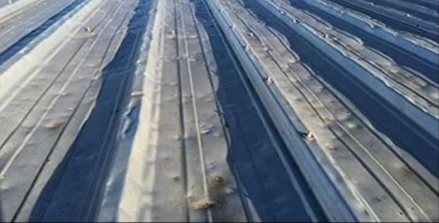 Corrugated metal roof, showing bubbling and damage along the ridges, against a blue-gray sky.