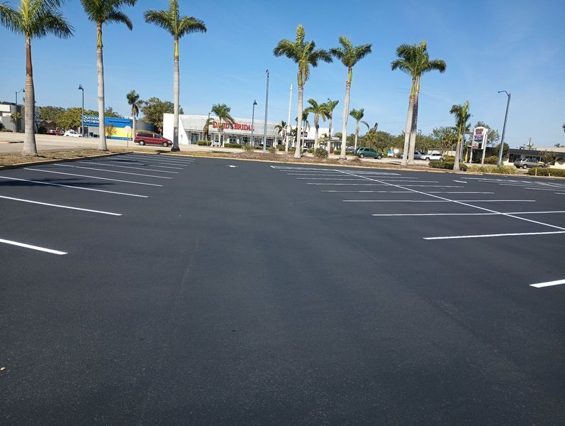 An empty parking lot with palm trees in the background