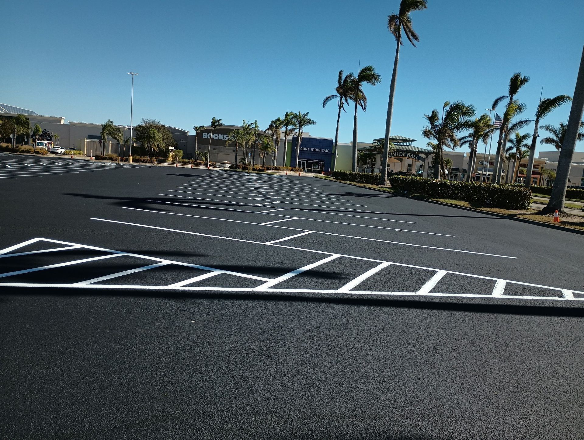 An empty parking lot with palm trees in the background
