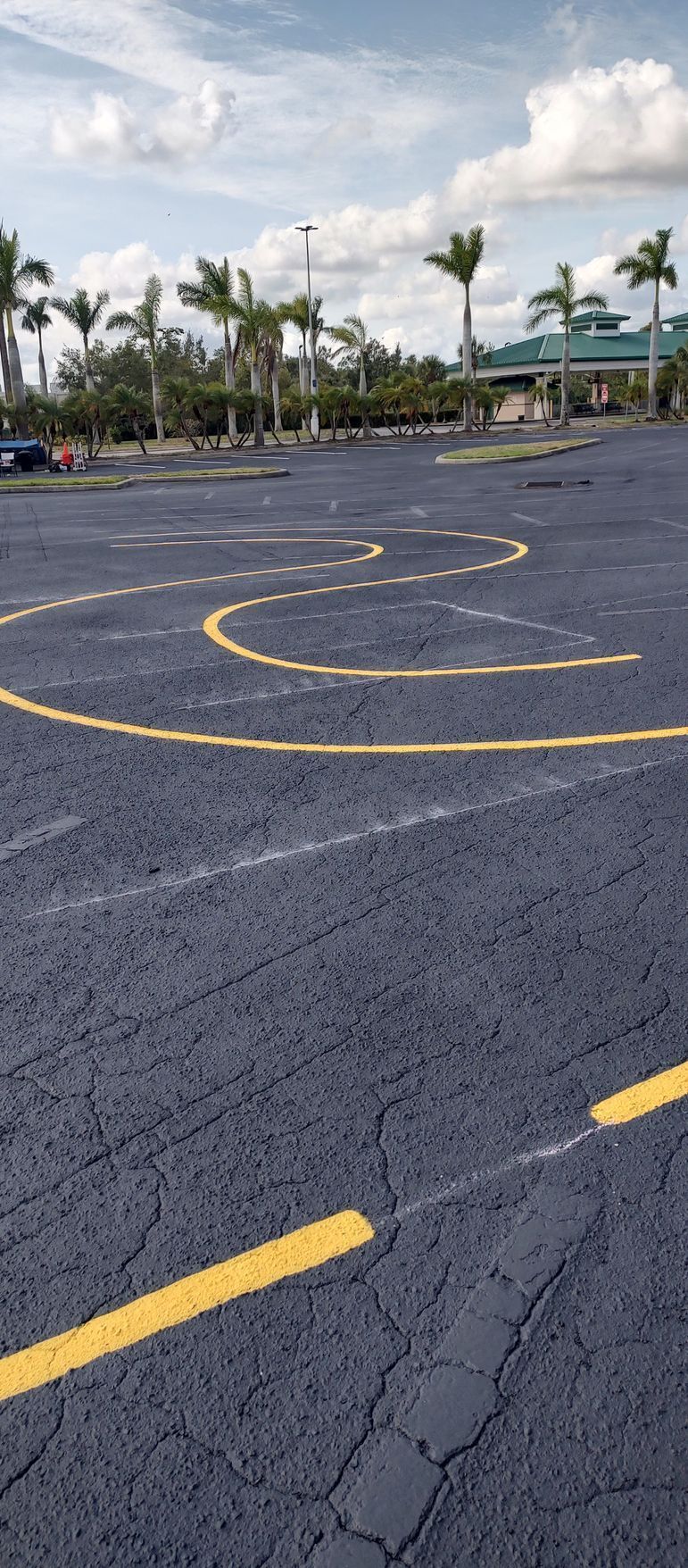 An empty parking lot with yellow lines on it and palm trees in the background.