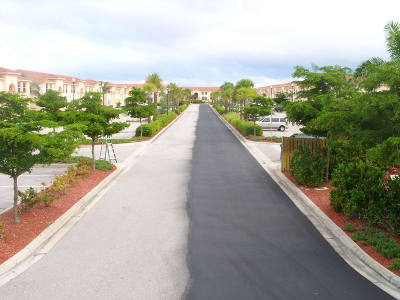 A road with a lot of trees on the side of it