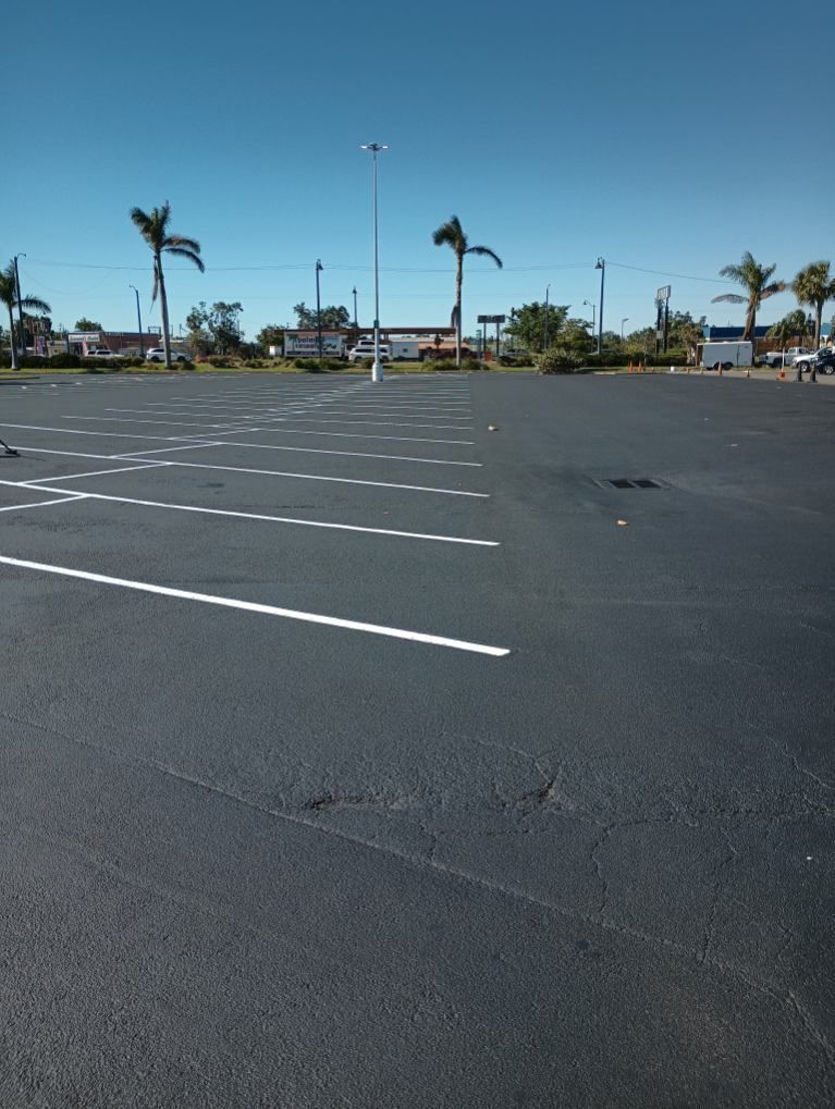 An empty parking lot with palm trees in the background