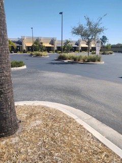 A parking lot with a palm tree in the foreground and a building in the background.