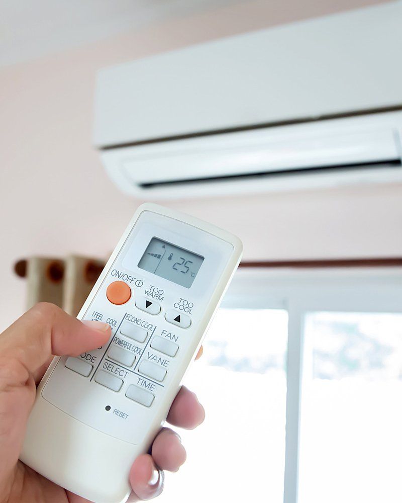 Remote of Air Condition — Air Conditioning in Taminda, NSW