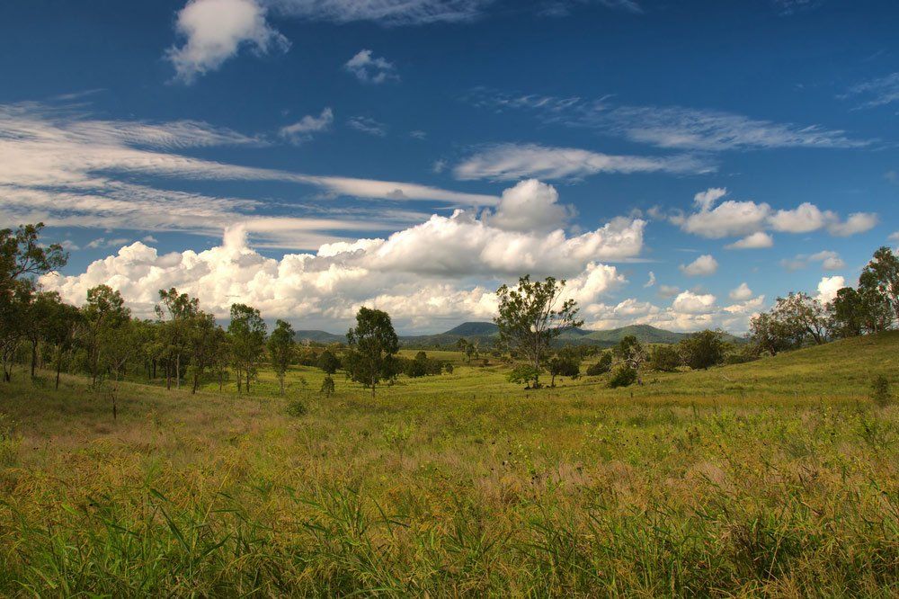 A Grassy Field with Trees and Clouds in The Sky — CK's Milling & Earthworks in Gympie, QLD
