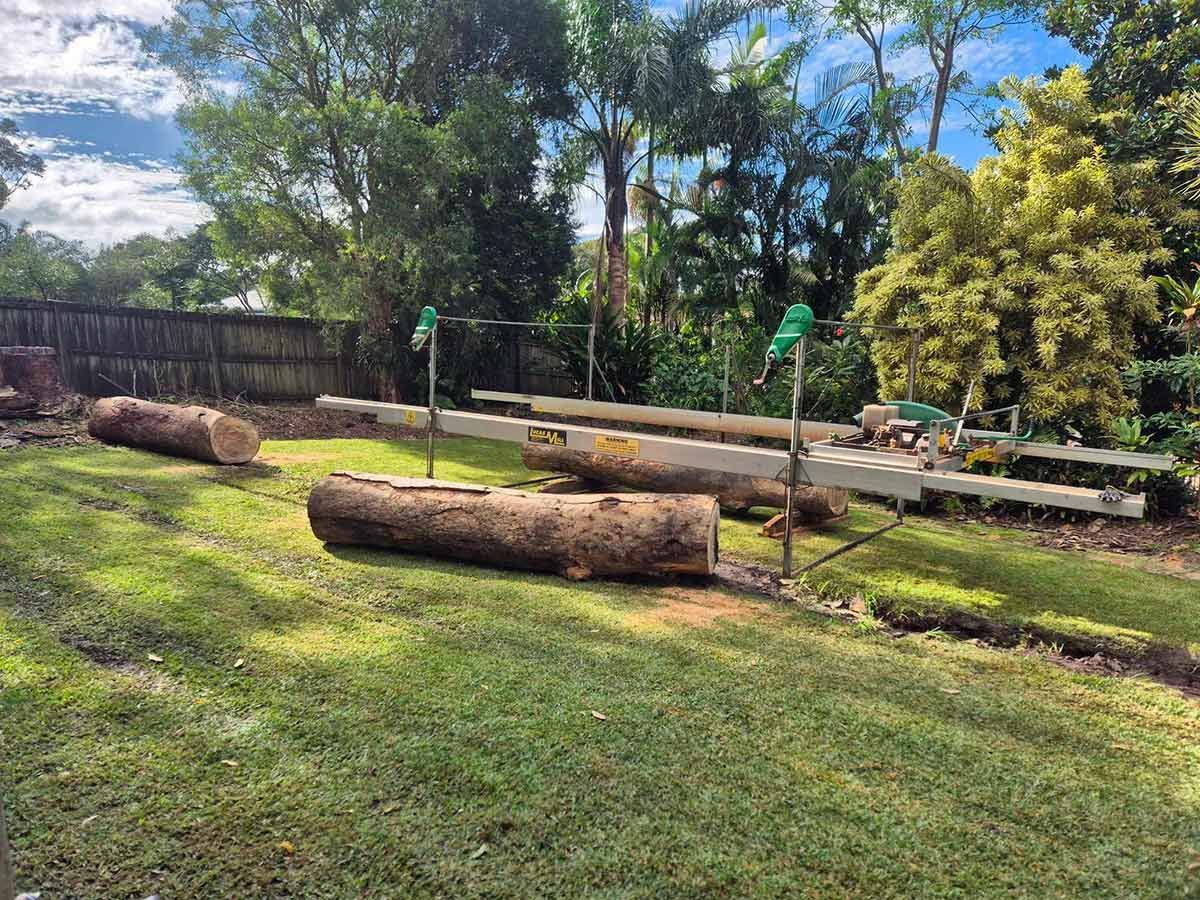 A Group of Logs Sitting on Top of A Lush Green Field — CK's Milling & Earthworks in Cooroy, QLD