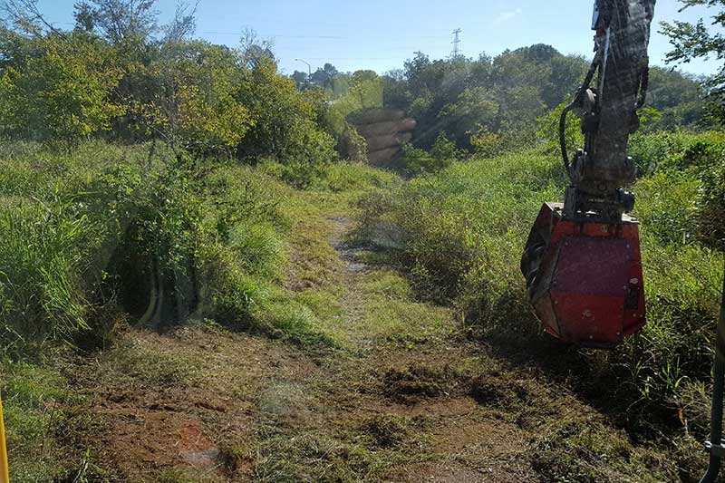 A Red Excavator Is Cutting Grass in A Field — CK's Milling & Earthworks in Bells Bridge, QLD