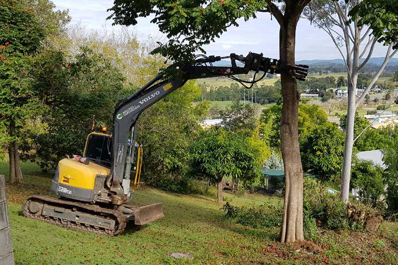 A Yellow and Gray Excavator Is Cutting a Tree in A Field — CK's Milling & Earthworks in Bells Bridge, QLD