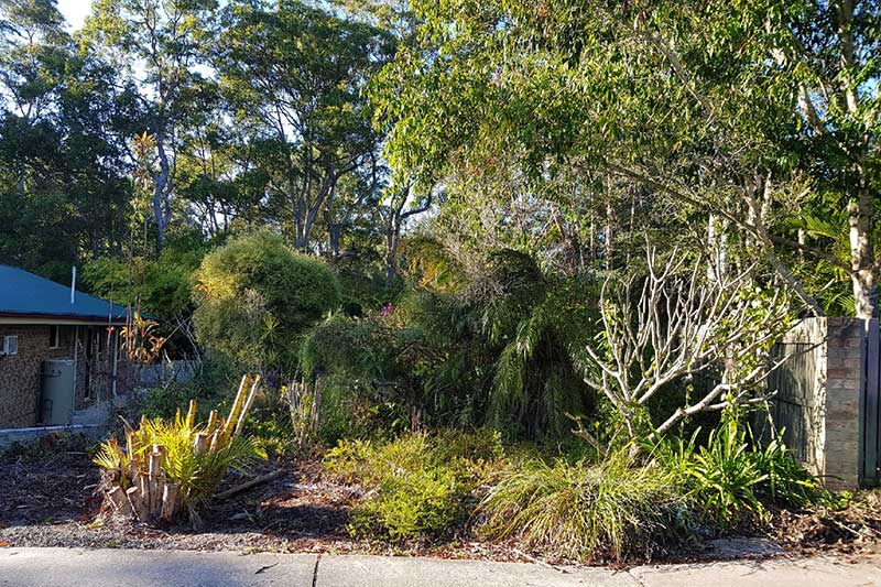 A House Is Surrounded by Trees and Bushes on The Side of The Road — CK's Milling & Earthworks in Bells Bridge, QLD