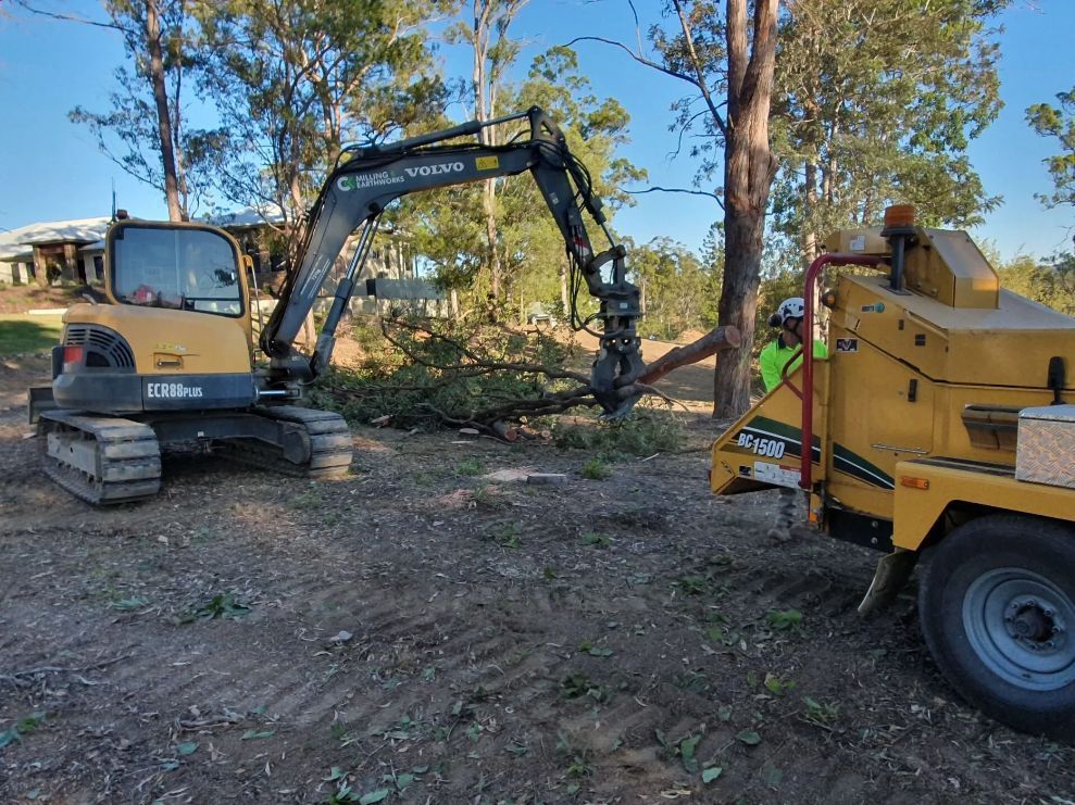A Man Is Cutting a Tree with A Machine in A Field — CK's Milling & Earthworks in Bells Bridge, QLD