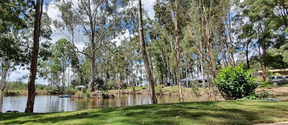 A Lush Green Field with Trees and A Lake in The Background — CK's Milling & Earthworks in Pie Creek, QLD