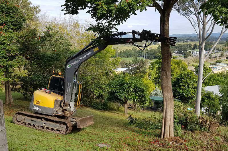 A Yellow and Gray Excavator Is Cutting a Tree in A Grassy Field — CK's Milling & Earthworks in Pie Creek, QLD