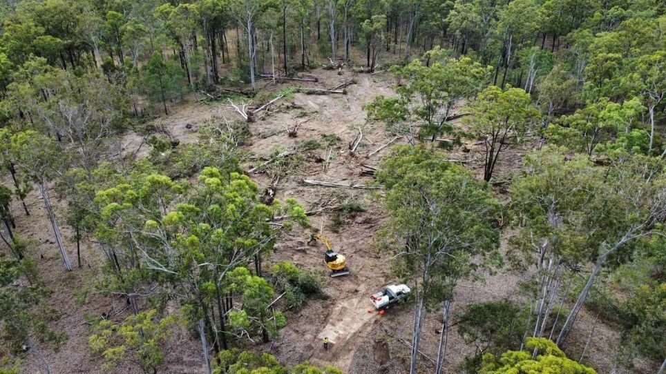 An Aerial View of A Forest with Trees and Dirt — CK's Milling & Earthworks in Bells Bridge, QLD