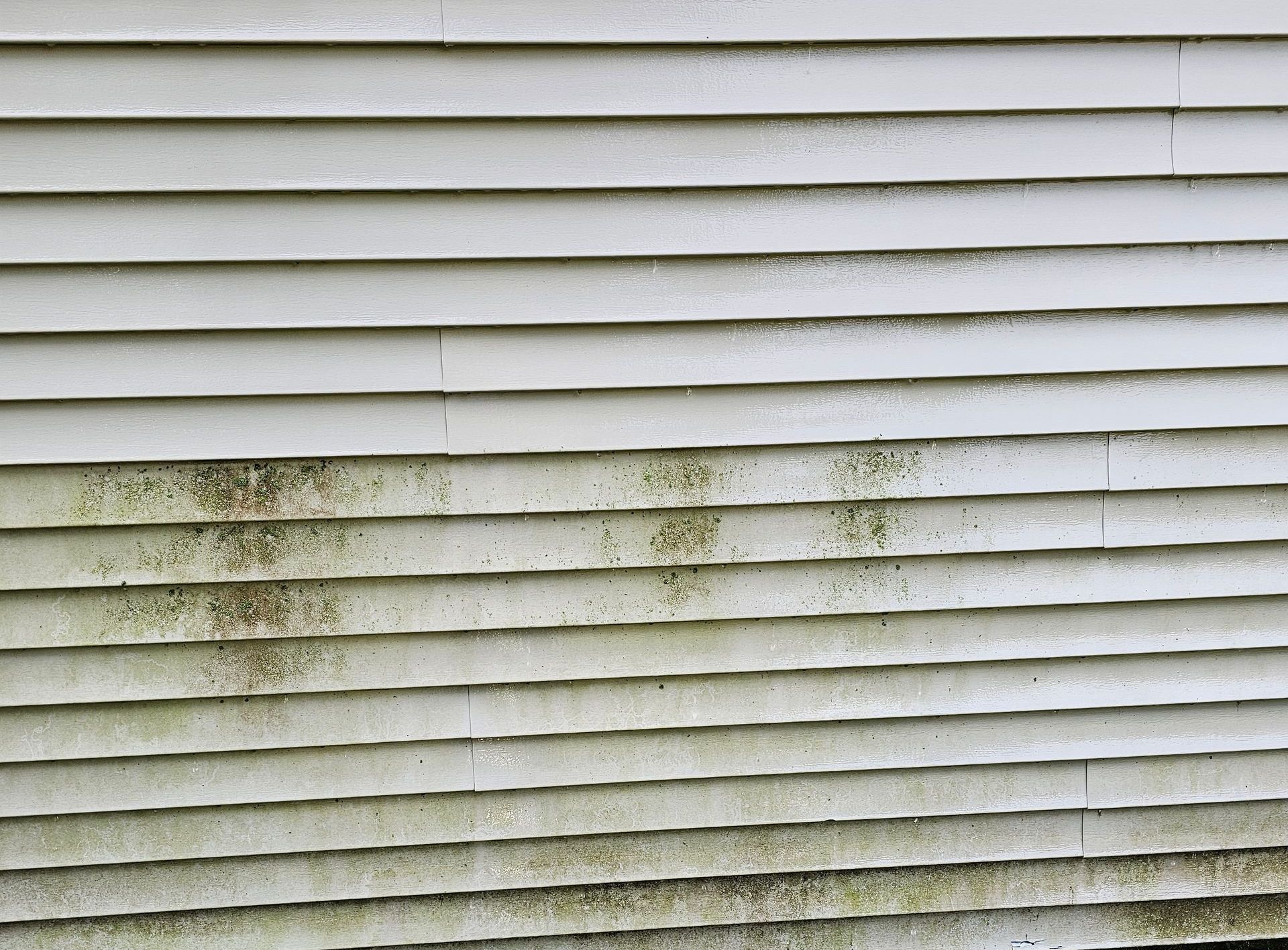 Exterior House Washing in Midland, MI