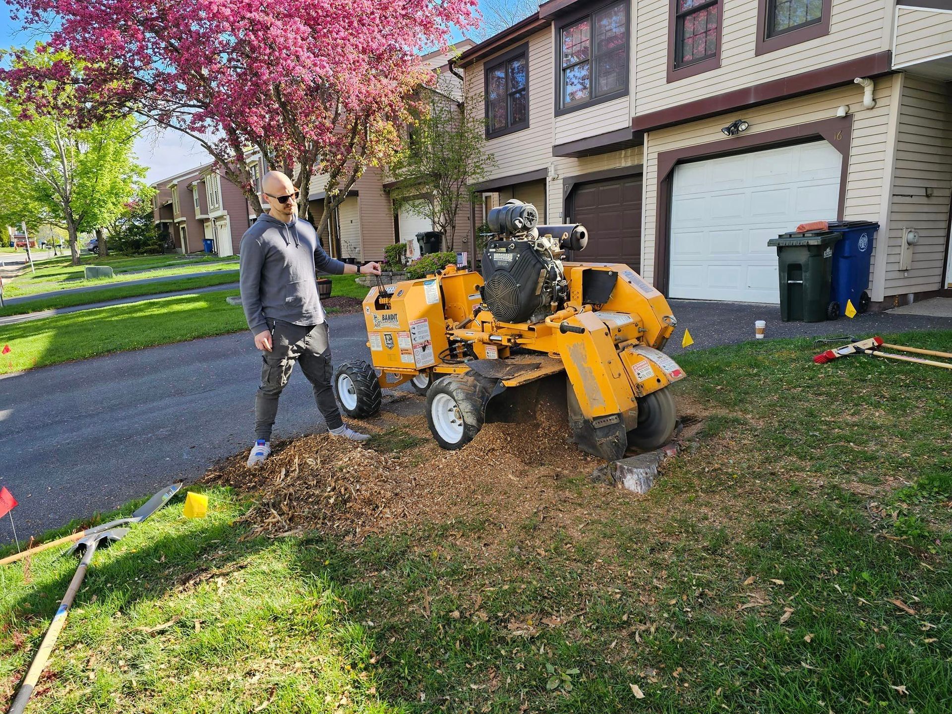 Grinding Tree Stump in Front Yard