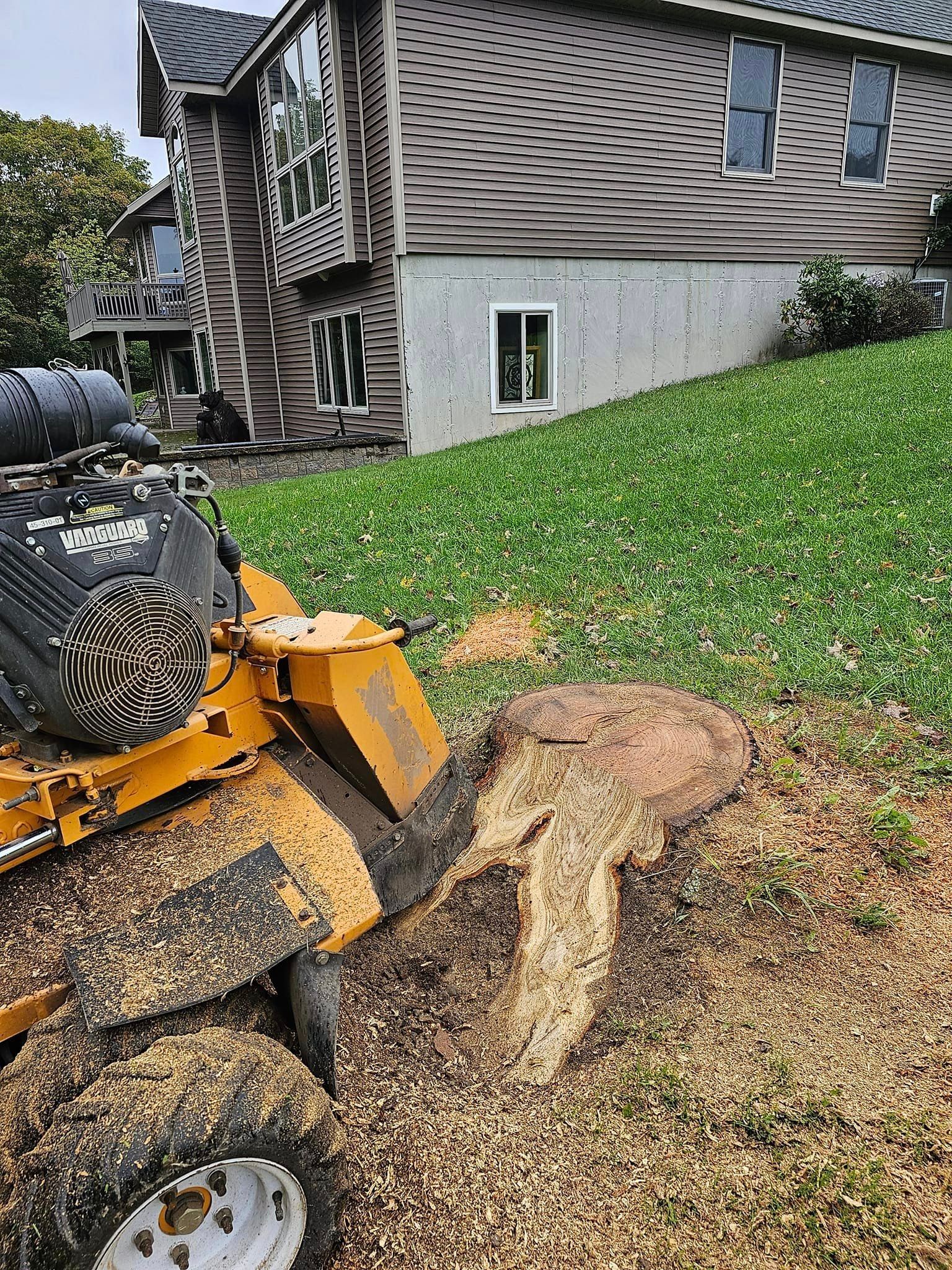 Stump Grinding